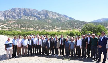 Denizli'de zirai dondan etkilenen bahçelerde inceleme