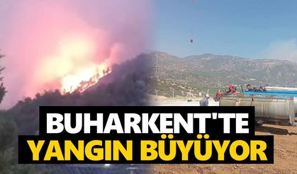 Buharkent'te yangın büyüyor