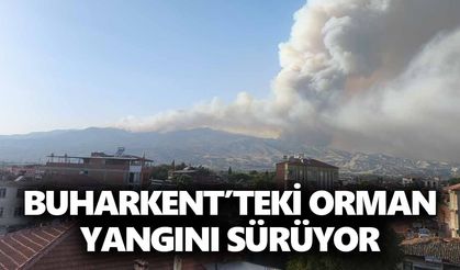 Buharkent’teki orman yangını sürüyor