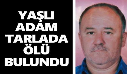Karacasu'da şok olay: Yaşlı adam tarlada ölü bulundu