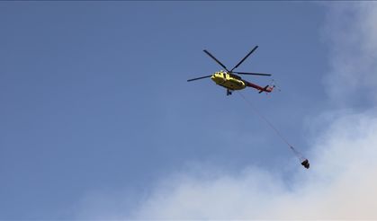 Denizli’deki orman yangınları kontrol altına alındı