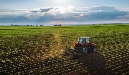 Buharkent’te 17 bin metrekarelik tarla icradan satışa çıktı