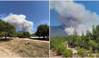 Denizli Pamukkale'de orman yangını