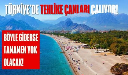 Türkiye’de tehlike çanları çalıyor! Böyle giderse yok olacak