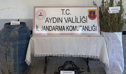 Aydın’da zehir tacirlerine operasyon