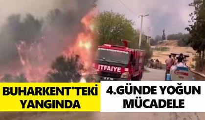 Buharkent'te yangın söndürülemiyor