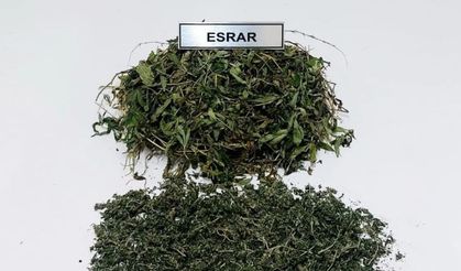 Sultanhisar'da esrar operasyonu