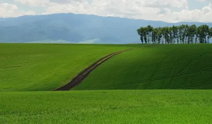 Fiyatı Gören İnanmakta Zorlanacak! Aydın'da İcraya Düşen Bahçeli Ev Bu Fiyata Verilecek