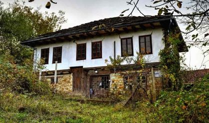 Yenipazar’daki taşınmaz icrada: Kırsal bölgedeki büyük parsel için yeni duyuru