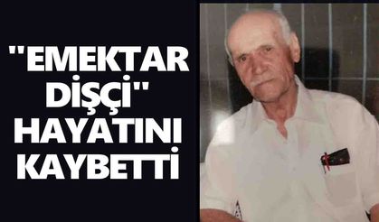 Yenipazar'da asırlık çınara veda