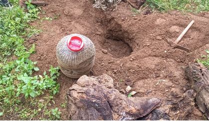 Uyuşturucu operasyonunda bir kişi tutuklandı