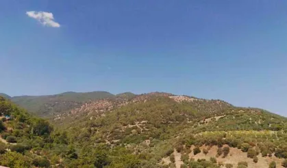 Aydın için uzman isimden flaş öneri: 'Belediyelerin bunu yapması gerek'