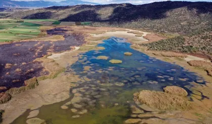 Aydın'ın o bölgesi yeniden canlandı!