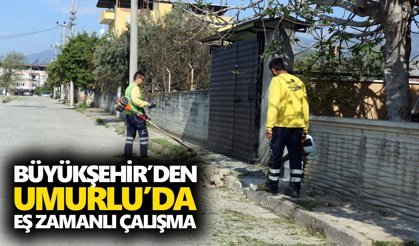 Büyükşehir’den Umurlu’da eş zamanlı çalışma