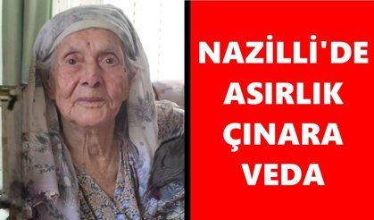 Nazilli'de asırlık çınara veda: "Terzi Ulviye" sonsuzluğa uğurlandı