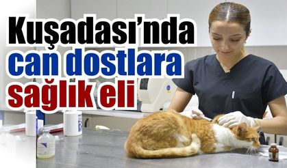 Kuşadası’nda patili dostlara ücretsiz sağlık desteği