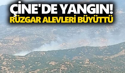 Çine'de yangın! Rüzgar alevleri büyüttü