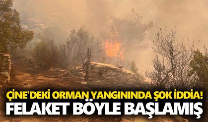 Çine'deki orman yangınında şok iddia! Felaket böyle başlamış