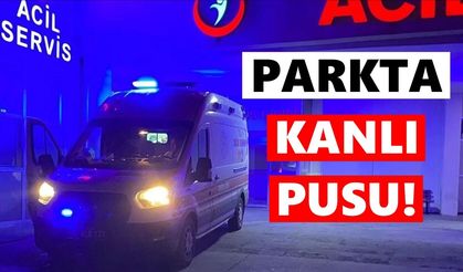 Parkta kanlı pusu