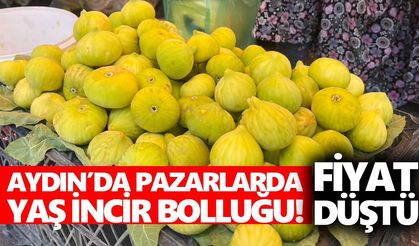Aydın’da pazarlarda yaş incir bolluğu! Fiyat düştü