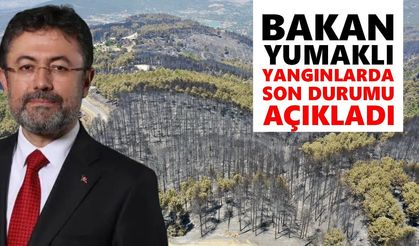 Bakan Yumaklı yangınlarda son durumu açıkladı