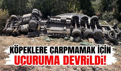 Köpeklere çarpmamak için uçuruma devrildi!