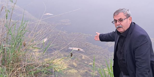 Aydın’ın tek doğal gölünde toplu balık ölümleri başladı