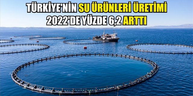 Türkiye'nin su ürünleri üretimi 2022'de yüzde 6,2 arttı