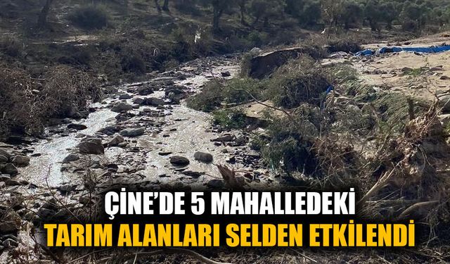 Çine’de sel felaketiyle ilgili hasar tespit çalışmaları başladı