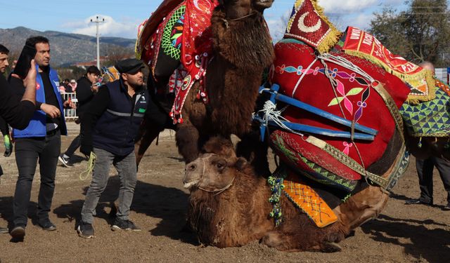 Karpuzlu’da sel felaketine müdahale sürüyor