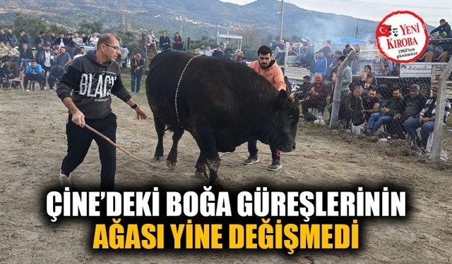 Çine’de 6. Geleneksel Boğa Güreşi nefes kesti
