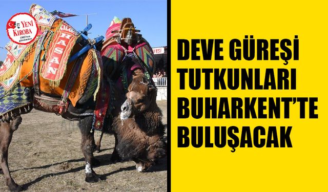 Buharkent festivale hazırlanıyor