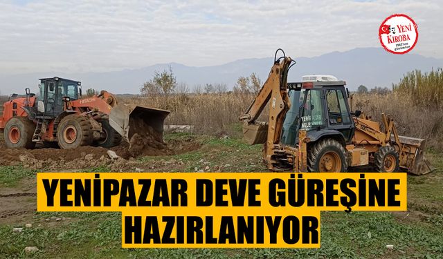 Yenipazar deve güreşine hazırlanıyor