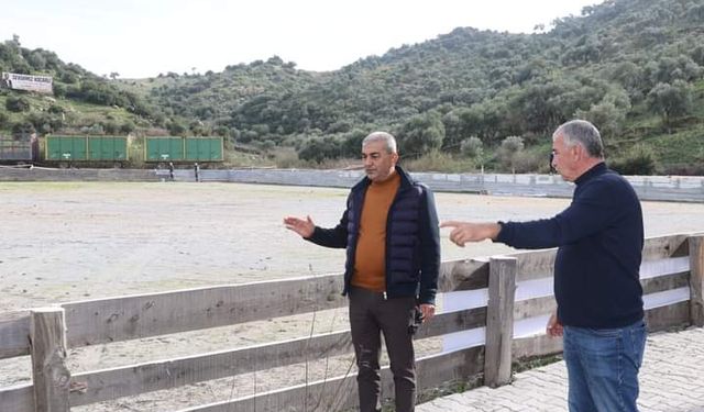 Koçarlı’da Deve Güreşi'ne saatler kaldı