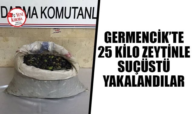 Germencik’te 25 kilo zeytinle suçüstü yakalandılar