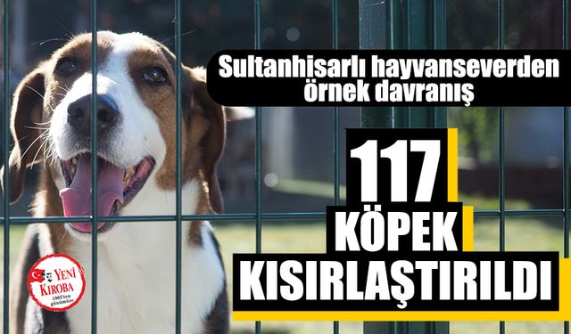 Sultanhisarlı hayvanseverden örnek davranış