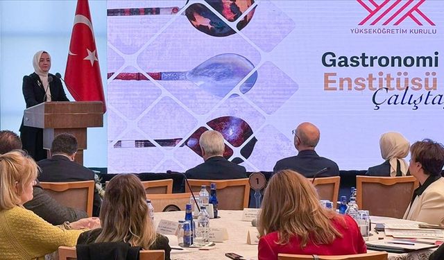YÖK, Gastronomi Enstitüsü kuruyor