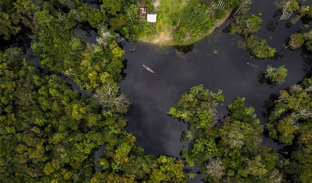 2023'te Amazonlar'da yaşanan kuraklığın öncül nedeni küresel ısınma