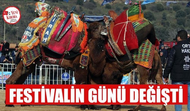 İncirliova Deve Güreşi Festivali’nin günü değişti