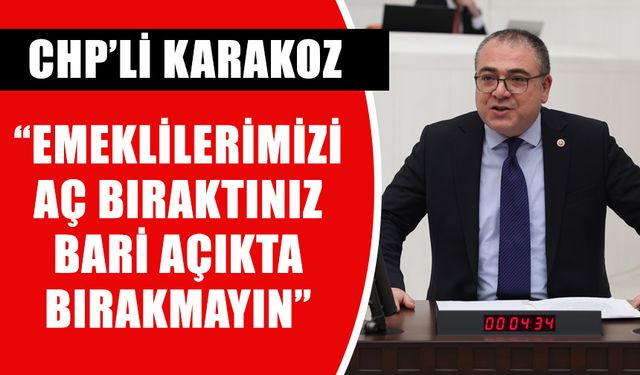 CHP’li Karakoz, emeklilerin barınma sorunu için meclis araştırması istedi
