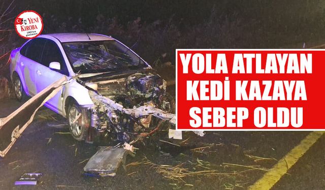 Germencik’te yola atlayan kedi kazaya neden oldu