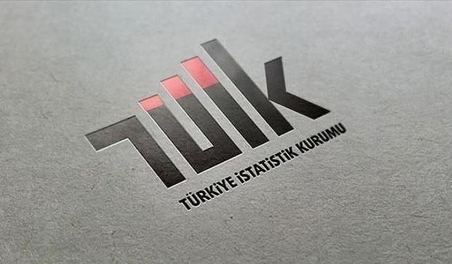 TÜİK, "grid" detayında eğitim istatistiklerini paylaşıma açtı