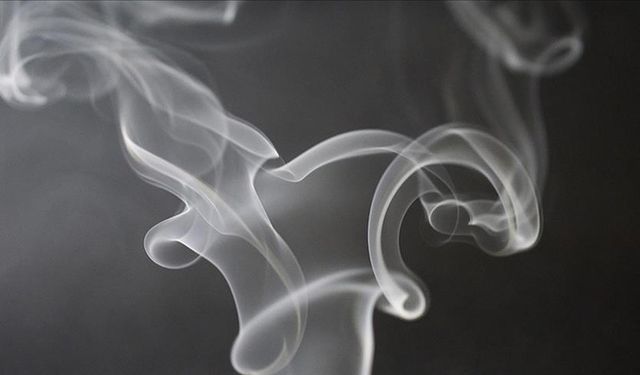 Türk Kardiyoloji Derneği yöneticileri uyardı: "Sigara bir hastalıktır"