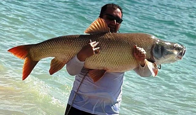 Amatör balıkçı 39 kilogramlık turna balığı yakaladı