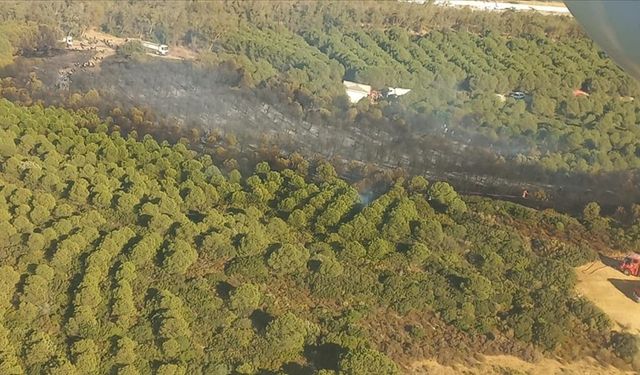 Muğla'da bu yıl çıkan 385 yangında 1400 hektar tarım ve orman alanı zarar gördü