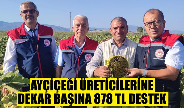 Aydın’da ayçiçeği üreticilerine dekar başına 878 TL destek