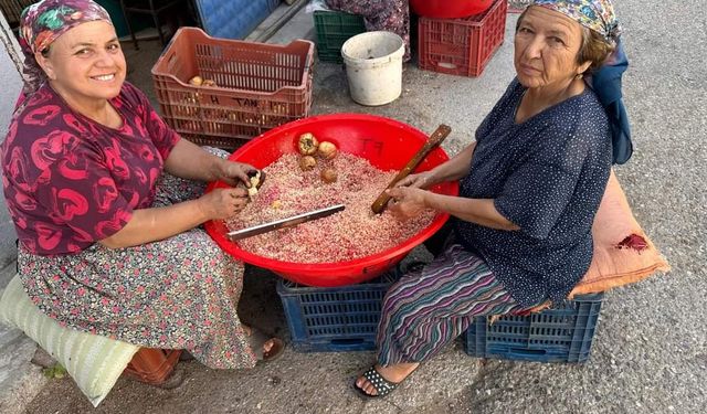 Nazilli’de nar ekşisi sezonu açıldı