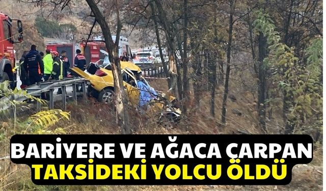 Bariyere ve ağaca çarpan taksideki yolcu öldü