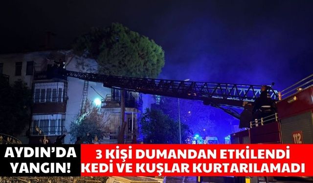 Aydın’da yangın! 3 kişi dumandan etkilendi, kedi ve kuşlar kurtarılamadı