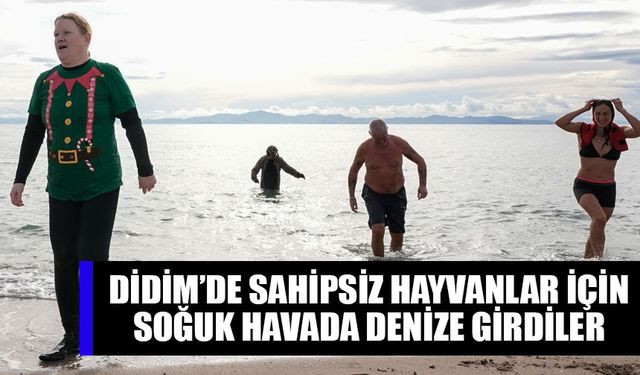 Didim’de sahipsiz hayvanlar için soğuk havada denize girdiler